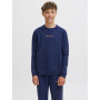FELPA GIROCOLLO FELPATA JACK&JONES