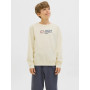 FELPA GIROCOLLO FELPATA JACK&JONES