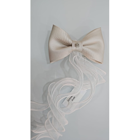 FERMAGLI ELEGANTI ABBINATI