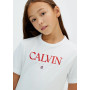 T-SHIRT IN COTONE CALVIN KLEIN 8/16A