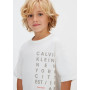 T-SHIRT IN COTONE CALVIN KLEIN 8/16A