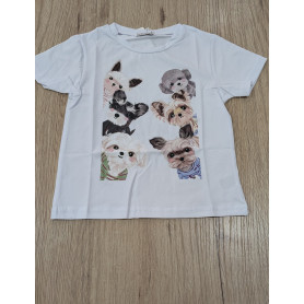 T-SHIRT IN COTONE LOLLITOP 4/12A